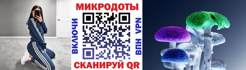 Галлюциногенные грибы мухоморы  где купить наркоту  Грайворон 